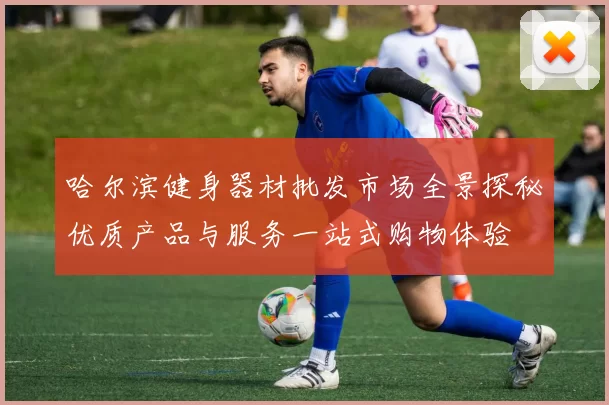 哈尔滨健身器材批发市场全景探秘优质产品与服务一站式购物体验