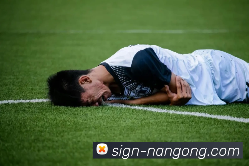 NG体育APP 封面图